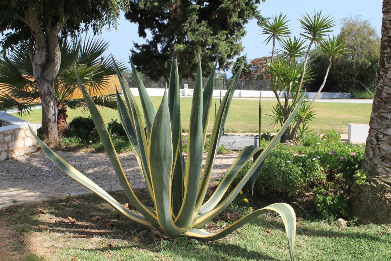 Casa Beachcomber Le Jardin Des Arts Leilighet Lagos Eksteriør bilde